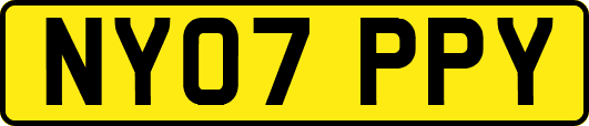 NY07PPY