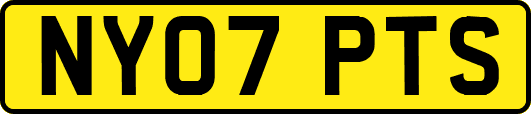 NY07PTS