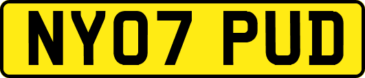 NY07PUD