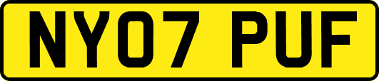 NY07PUF