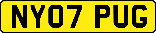 NY07PUG