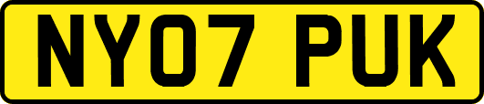 NY07PUK