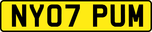 NY07PUM