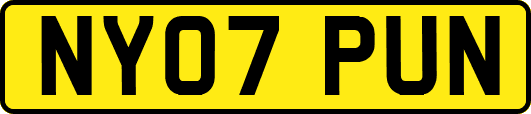 NY07PUN