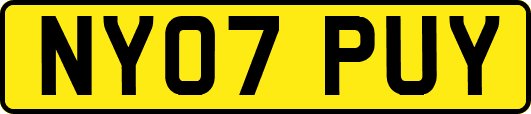 NY07PUY
