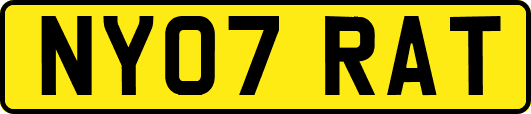 NY07RAT