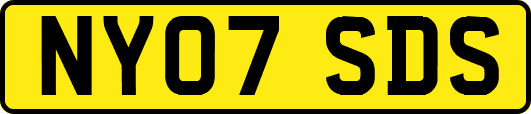 NY07SDS