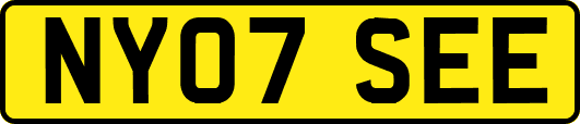 NY07SEE