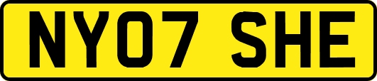 NY07SHE