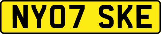 NY07SKE