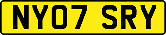 NY07SRY