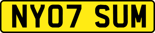 NY07SUM