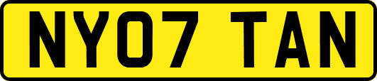 NY07TAN