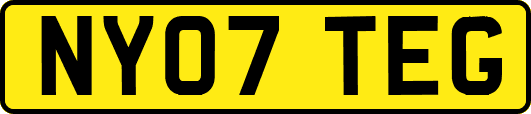 NY07TEG
