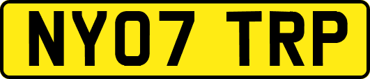 NY07TRP