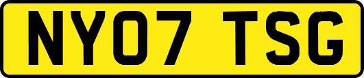 NY07TSG