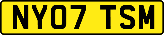 NY07TSM