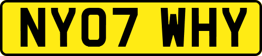 NY07WHY
