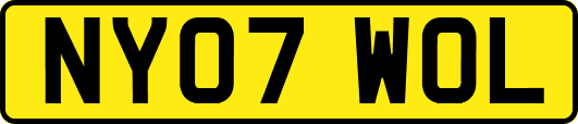 NY07WOL
