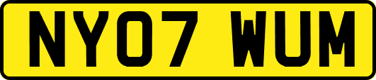 NY07WUM