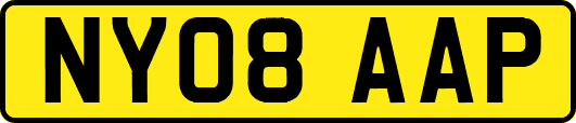 NY08AAP