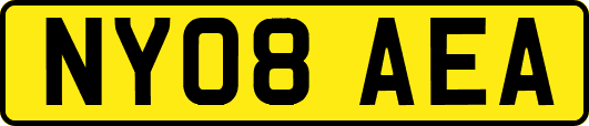 NY08AEA
