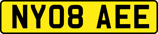 NY08AEE
