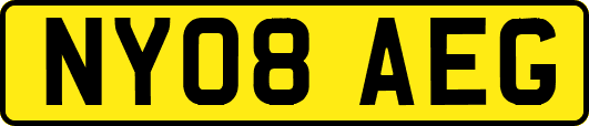 NY08AEG