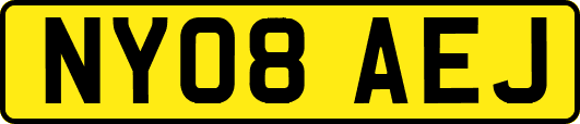 NY08AEJ