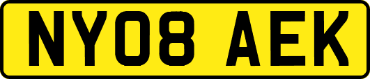 NY08AEK