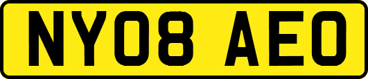 NY08AEO