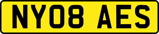 NY08AES