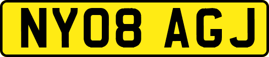 NY08AGJ