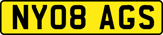 NY08AGS