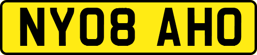 NY08AHO