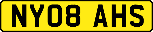 NY08AHS