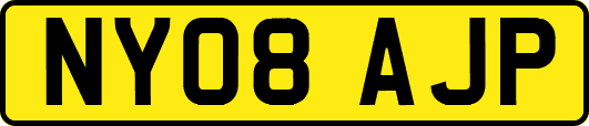 NY08AJP