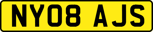 NY08AJS