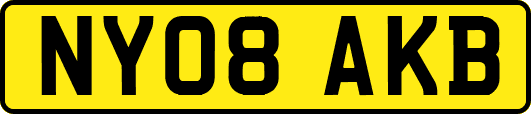 NY08AKB