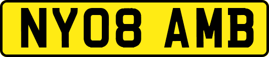 NY08AMB