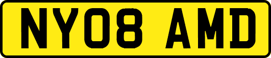 NY08AMD