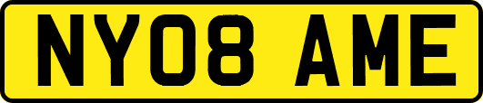 NY08AME