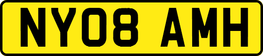 NY08AMH
