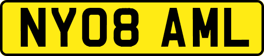 NY08AML