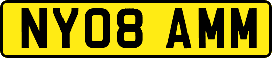 NY08AMM
