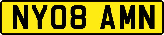 NY08AMN