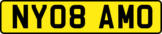 NY08AMO