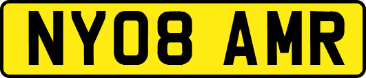 NY08AMR