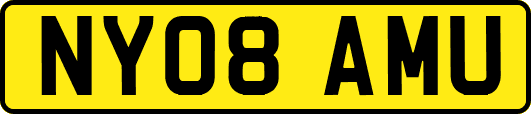 NY08AMU