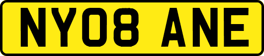 NY08ANE